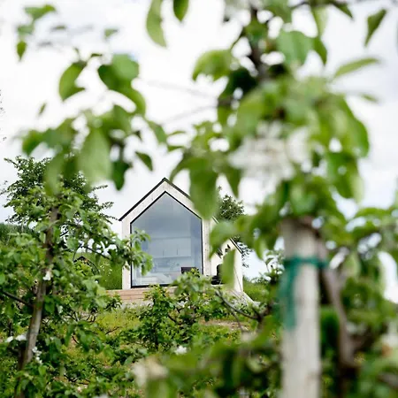 Charming Tiny House With Panorama View Campingplads *