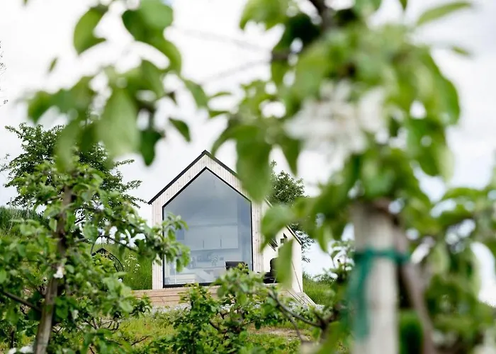 Charming Tiny House With Panorama View Kamp alanı *
